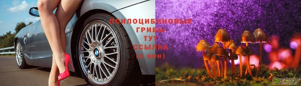 марки lsd Богданович