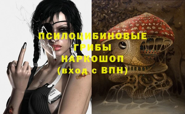 прущий лед Богородск