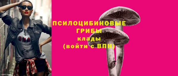 марки lsd Богданович